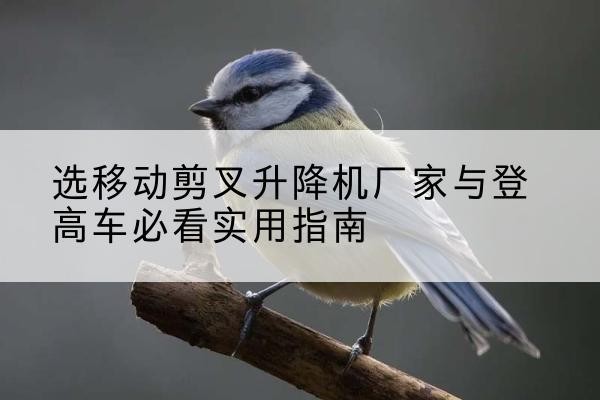 冷水滩电动升降机厂家-选移动剪叉升降机厂家与登高车必看实用指南
