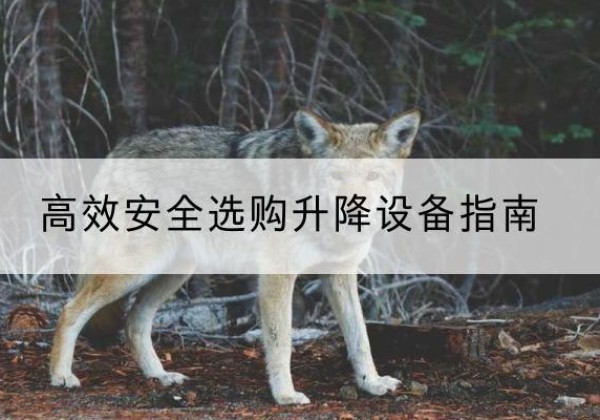 冷水滩升降货梯厂家推荐-*安全选购升降设备指南